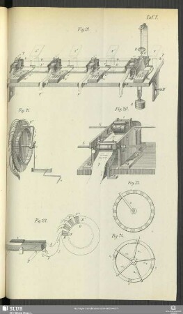Taf. V. [Fig. 19-24]