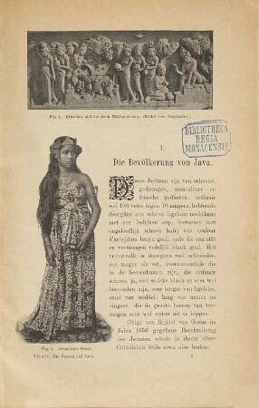 Die Frauen auf Java : eine gynäkologische Studie
