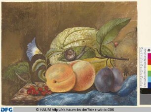 Stillleben mit Früchten und Schnecke