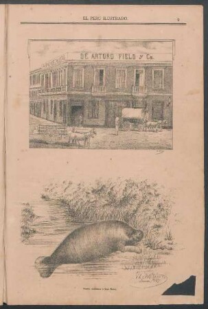 [Vista de la fábrica de galletas de Arturo Field y Cª.]