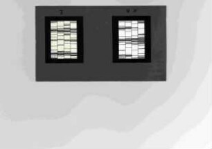 Entwurf für hochrechteckige Fenster