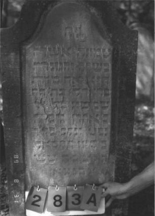 Grabstein 283 (Index: 99609920) Material: Sandstein Zustand: verwittert, leicht abgeblättert Maße HxBxT: 120x55x10 cm Beschreibung: Stele, Konvexbogenabschluß, Schriftfeld eingetieft: Grabstein 283A
