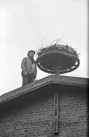 Heidekamp: Marienhof: Sanierung eines Storchennests: Vorsitzender des Deutschen Bundes für Vogelschutz (DBV), Ortsgruppe Reinfeld, Karl-Heinz Koll auf Dach neben Nest