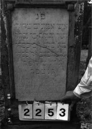 Grabstein 2253 (Index: 100097342) Maße HxBxT: 173x51x24 cm Besonderheit: kulturhistorisch wertvoll / hist.-wiss. Gründe (Gemeindestellung): Grabstein 2253 (Detailaufnahme)