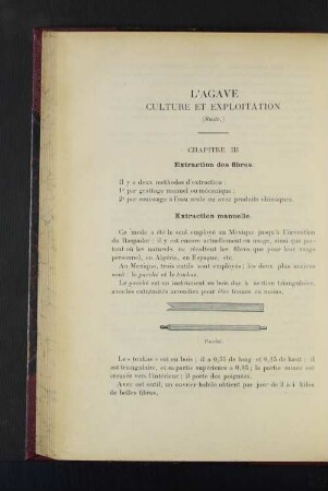 L'Agave Culture Et Exploitaton.
