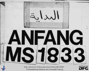 MF Mau 1833