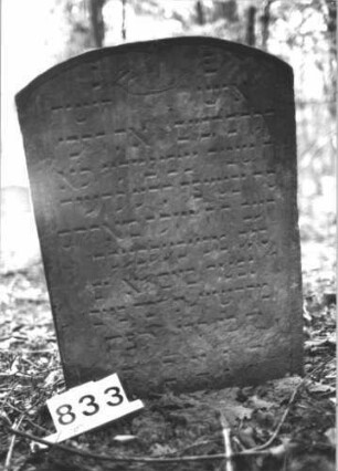 Grabstein 833 (Index: 99899239) Material: Sandstein Zustand: unten stark verwittert Maße HxBxT: 79x57x8 cm Beschreibung: Stele mit Segmentbogenabschluss, im Bogenfeld Schofar und Levitenkanne Symbolik: Schofar, Levitenkanne Besonderheit: kulturhistorisch wertvoll / hist.-wiss. Gründe (Gemeidestellung): Grabstein 833 (1)
