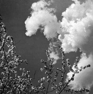 Wolken im Frühling