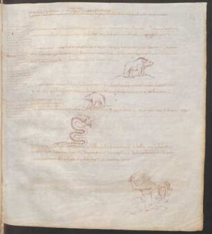 Federzeichnungen Sternbilder: Ursa maior, Ursa minor, Serpens, Hercules