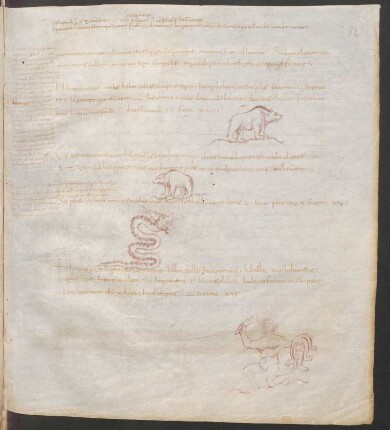 Federzeichnungen Sternbilder: Ursa maior, Ursa minor, Serpens, Hercules