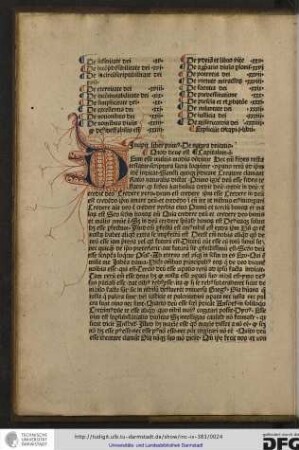 Incipit liber primus de natura deitatis.