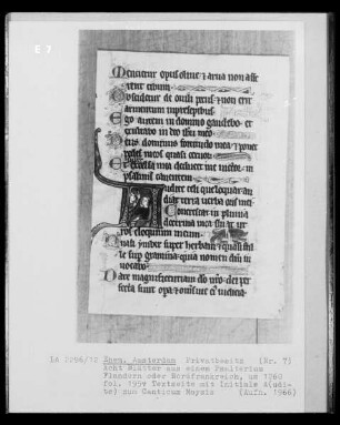 Blatt aus einem Psalterium, fol. 195v: Textseite mit Initiale A zum Canticum Moysis