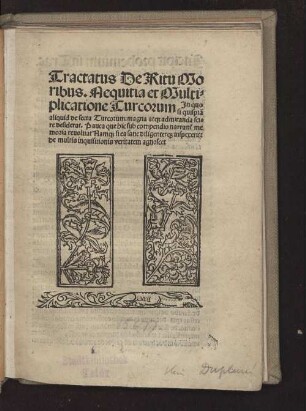 Tractatus de ritu, moribus, nequitia Turcorum