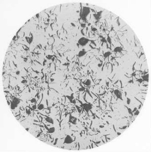 Graues Roheisen, eutektisch (Kaiser-Wilhelm-Institut) : Technikgeschichte | Stoffkunde und Materialprüfung | Stoffkunde | Metallographie | Metallographie des Eisens und seiner Legierungen