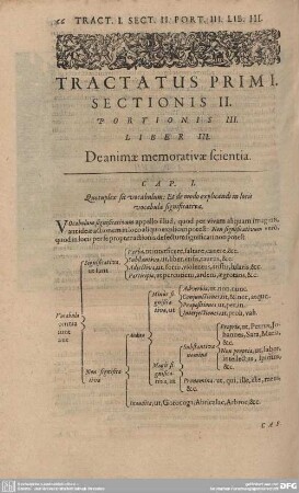 Liber III. De animae memorativae scientia.