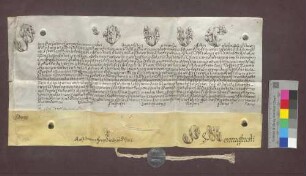 Papst Pius VI. macht den Vasallen der Basler Kirche die Approbation der Wahl des Franz Josef Sigmund von Roggenbach zum Bischof von Basel bekannt.