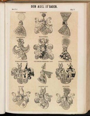 Taf. 3. Fürstenberg. - Leiningen. - Leiningen (St. W.). - Löwenstein. - Wertheim. - Waldburg. - Fugger Kirchheim. - Truchsess v. Waldburg. (St.W). - Fugger-Hoheneck - Erbach. - Fugger (St. W.). - Neipperg.