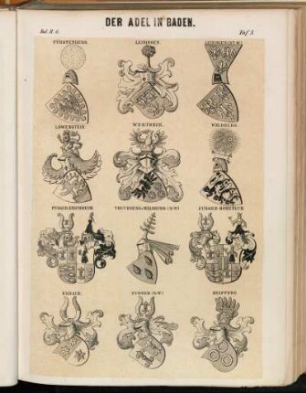 Taf. 3. Fürstenberg. - Leiningen. - Leiningen (St. W.). - Löwenstein. - Wertheim. - Waldburg. - Fugger Kirchheim. - Truchsess v. Waldburg. (St.W). - Fugger-Hoheneck - Erbach. - Fugger (St. W.). - Neipperg.