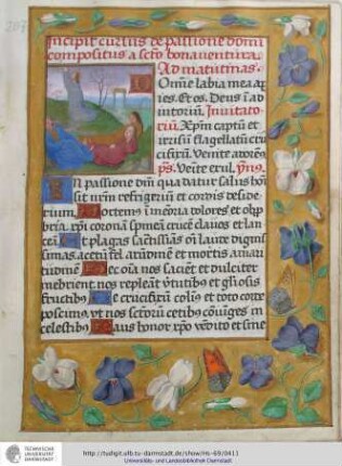 Cursus de passione domini compositus a sancto bonauentura