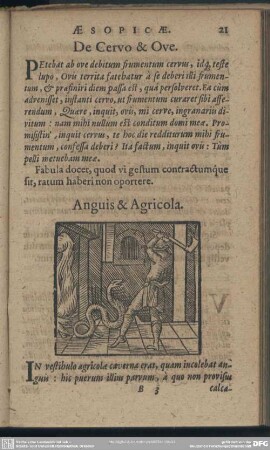 Anguis & Agricola