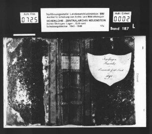 Lager- und Gültbuch über das Amt Ingelfingen, renoviert durch Georg Friedrich Koch: Ingelfingen mit Mariannenvorstadt.