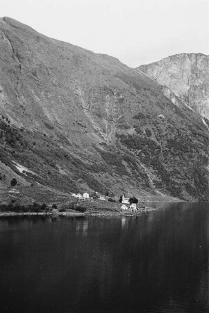 Reisefotos Norwegen. Sognefjord. Blick von einem Passagierschiff zum Ufer
