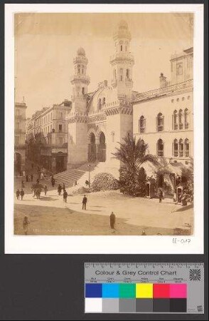 Alger. La Cathedrale