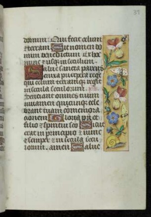 Trompe l'oeil-Randbordüre mit Insekten und Blütenzweigen; (Marienoffizium), Zierinitiale: S(alve sancta parens)