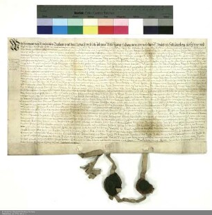 Gütertausch zwischen dem Dechanten und Kapitel sowie dem Kellner von Fulda und Eustachius von Schlitz genannt von Görtz