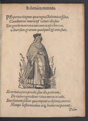 Bohemica matrona.