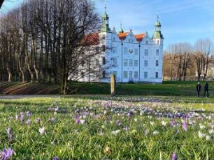 Ahrensburg: Herrenhaus (Museum Schloss Ahrensburg): Gartenseite, davor Wiese mit Krokusblüten im Frühjahr