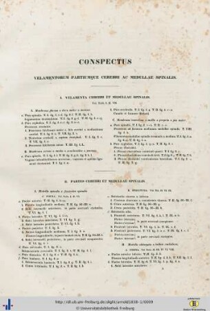 Conspectus Velamentorum Partiumque Cerebri Ac Medullae Spinalis.