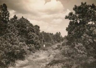 Georgenfelder Hochmoor