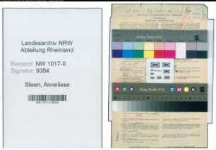 Entnazifizierung Anneliese Steen , geb. 08.12.1911 (Technische Lehrerin)