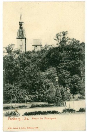 Freiberg. Im Albertpark