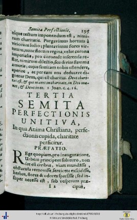 Tertia Semita Perfectionis Unitiva