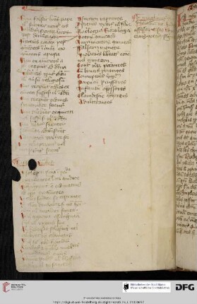 Casus papales et episcopales