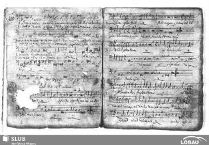 Finetti, Giacomo: Domus pudici pectoris