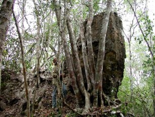 Pared de los Reyes, Group PR-1, West Structure (PAR: W Str.)