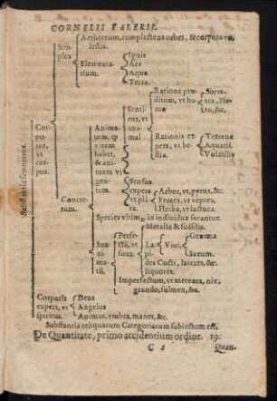 De Quantitate primo accidentium ordine. 19.