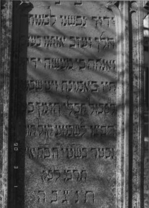 Grabstein 131 (Index: 100114752) Material: Sandstein Zustand: beschädigt und leicht verwittert am Giebel Maße HxBxT: 188x60x31 cm Beschreibung: Stele mit Rundbogen, Akroter, Sockel: Grabstein 131C