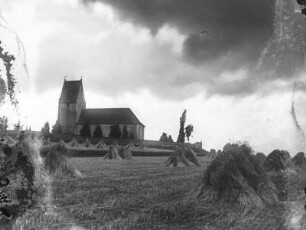 Panitzsch, Kirche : Panitzsch. Blick über Getreidefeld zur Kirche