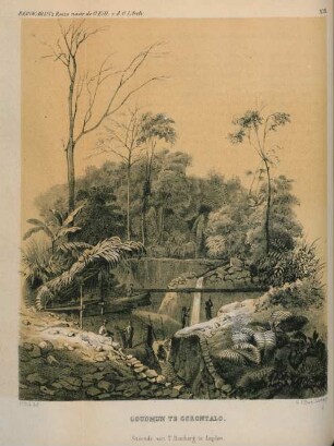 Goudmijn te Gorontalo