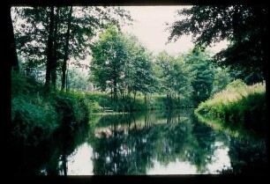Spreewald 26.7.84.