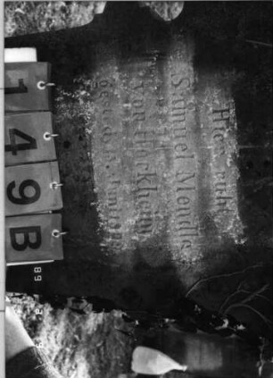 Grabstein 149 (Index: 100100257) Zustand: mit Efeu bewachsen Maße HxBxT: 135x54x25 cm Symbolik: Blume, Blüten: Grabstein 149B