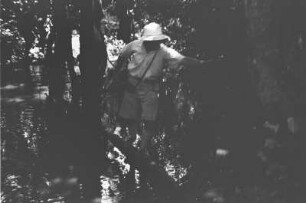 Mayer-Gürr : Expeditionsmitglied Alfred Mayer-Gürr in einer Dschungellandschaft mit Gewässer