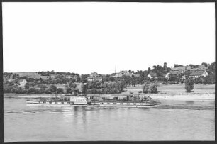 Kleinzadel. Blick auf Klein-Zadel - Elbe m. Dampfer Pillnitz