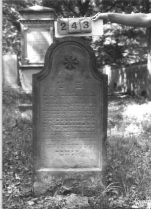 Grabstein 243 (Index: 99609879) Material: Sandstein Zustand: verwittert Maße HxBxT: 120x54x12 cm Beschreibung: Stele, geschwungener eingezogener hoher Bogenabschluß, Schriftfeld eingetieft, Sockel Symbolik: Stern: Grabstein 243