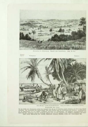 Flachküste von Togo