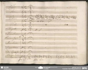 Quintetto: "Stanco ma non ferito"